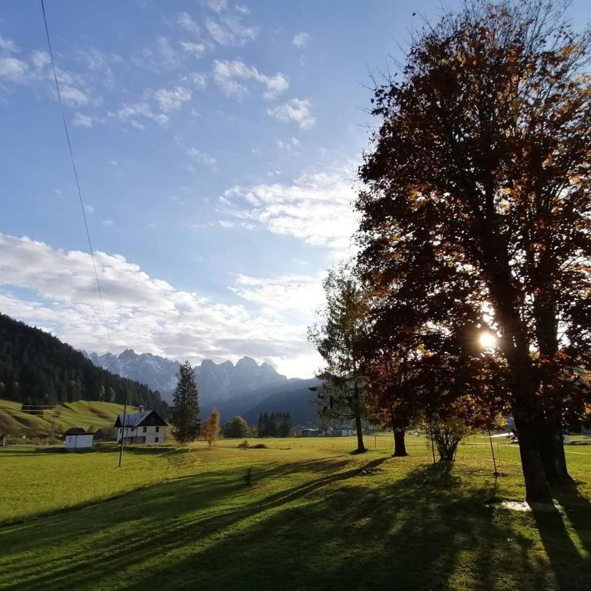 Haus Gruenwald Lejlighed Gosau Eksteriør billede